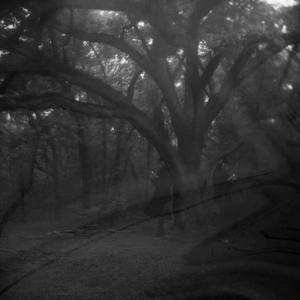 R.I.P Vivienne Westwood (feat. Chainsfugazi) (Explicit)