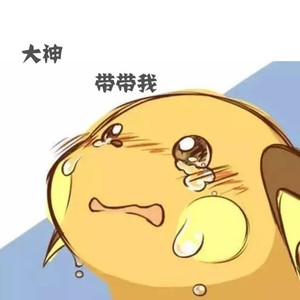 大神带带我