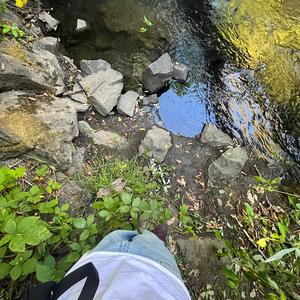 I can hear these drugs (feat. 3Ltopshotta) (Explicit)