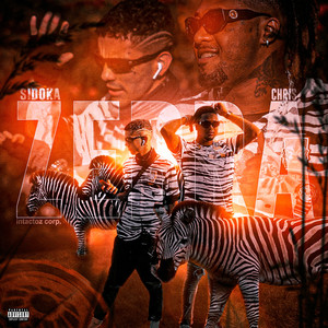 Zebra (Explicit)