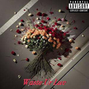 Waste Ur Luv (Explicit)