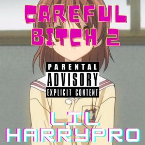 Careful *** 2 (Explicit)