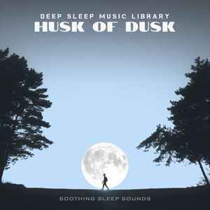 Hush of Dusk: Soothing Sleep Sounds