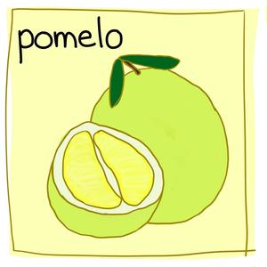 Pomelo (Explicit)