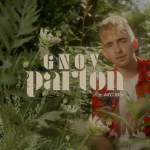 Parton (Explicit)