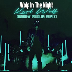 Wolf In The Night (Remix)