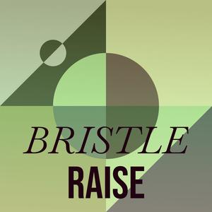 Bristle Raise