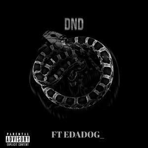 DND (feat. EDADOG_) [Explicit]