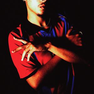 FLEX! VOLTMIX (Explicit)