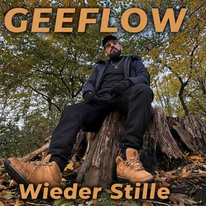 Wieder Stille (Explicit)