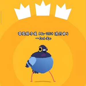 雷霆鸽子摇 (Or illit 进行曲)