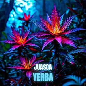 Yerba