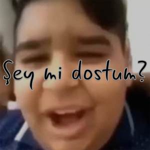 Şey mi dostum?