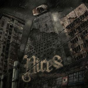 Synthetic Avidity (Explicit)