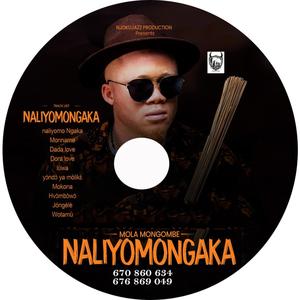 NALIYOMONGAKA