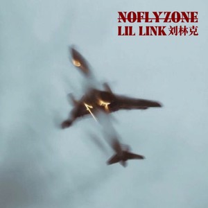 No Fly Zone