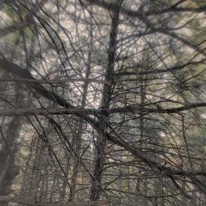 ONE TAKE (FREESTYLE) (Explicit)