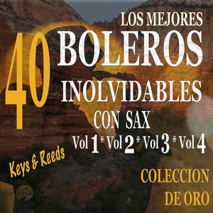 Los Mejores 40 Boleros Inolvidables Con Sax: Vol. 1, Vol. 2, Vol. 3, Vol. 4 (Coleccion de Oro)