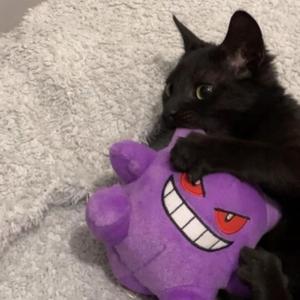 hexxed ##2025 (feat. SUNGODZ) (NIBXL MX) (Explicit)