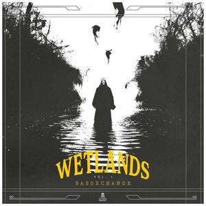 Wetlands Vol. 1