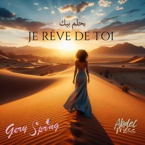 JE RÊVE DE TOI (feat. ABDEL MESS)