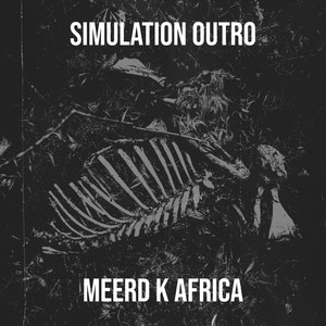 Simulation Outro (Explicit)