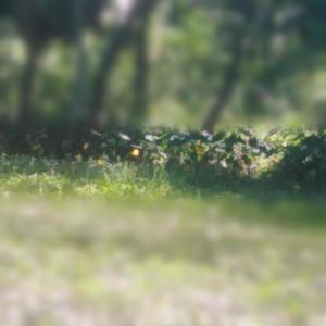 Fun(feat. Saidur Rahman)