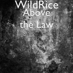 Above the Law (Explicit)