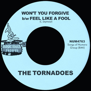 Feel Like A Fool