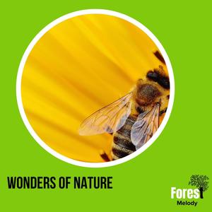 Hideous Rattle Snake