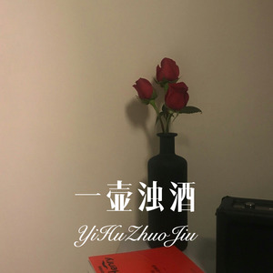 一壶浊酒 (Remix)