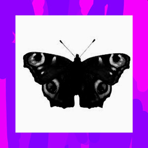 Name Der Musik (Explicit)