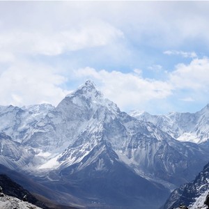 Chasing Dragons (Baynexo Remake)