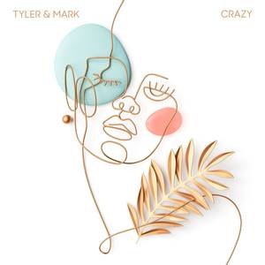 Crazy (Inst.)