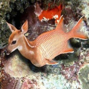 demon time (2024) (Explicit)