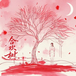 菲林封面