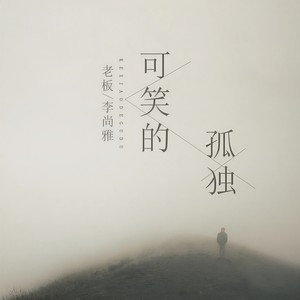 可笑的孤独 (DJHouse版)封面