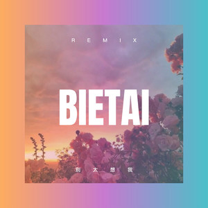 王者荣耀情侣对话 (Remix)