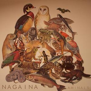 AMINALS