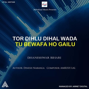 Tor Dihlu Dihal Wada Tu Bewafa Ho Gailu