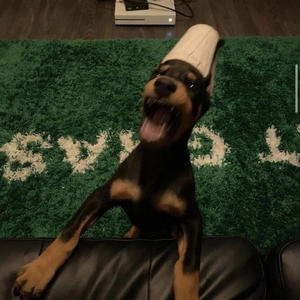 Thanks for the pitch (NNSTLGAA) (Explicit)