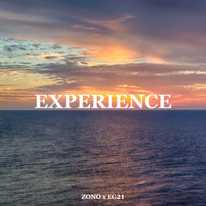 Experience