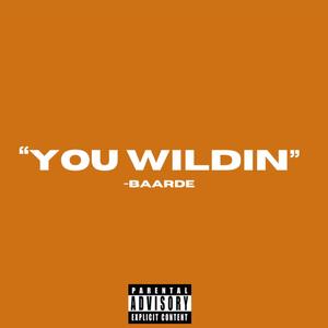 You Wildin (Explicit)