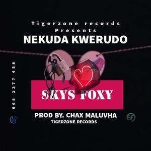 Nekuda kwerudo