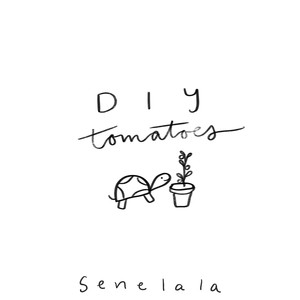 DIY Tomatoes