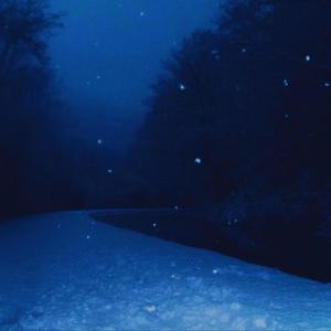 winter night