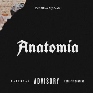 Anatomía (feat. Abeats) (Explicit)