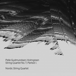 String Quartet No. 7, Parted - I.