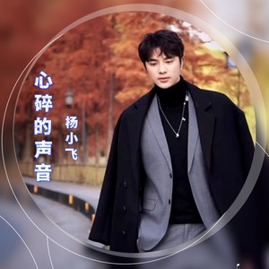 心碎的声音 (伴奏)