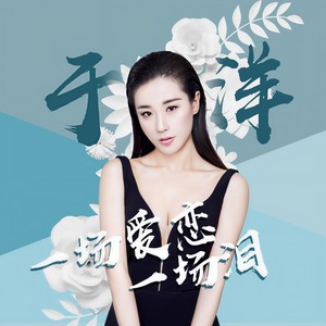 一场爱恋一场泪 (伴奏)